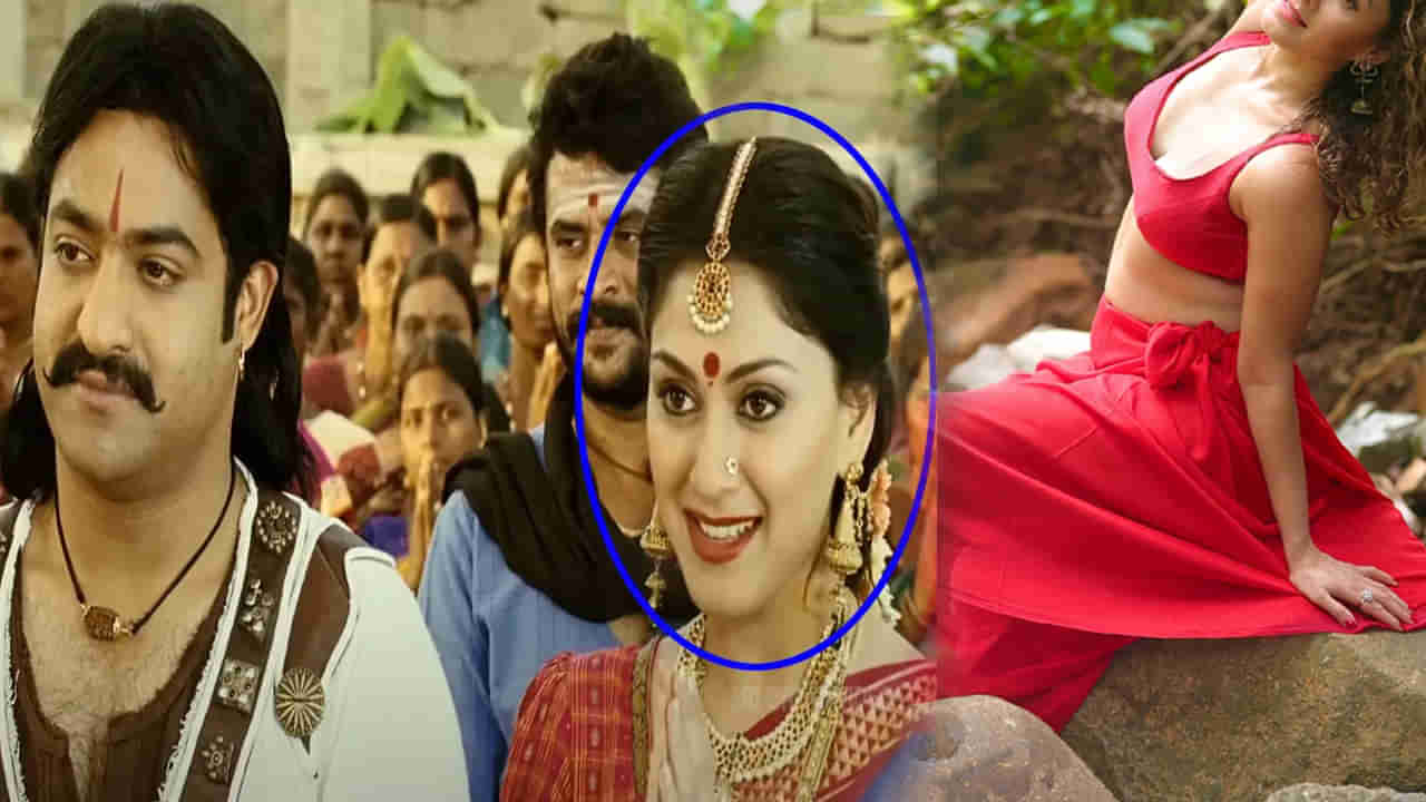 అమ్మబాబోయ్.. ఇదెక్కడి అరాచకం రా సామి..! ఎన్టీఆర్ హీరోయిన్ ఇప్పుడు ఎలా మారిపోయిందో చూడండి