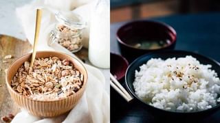 Avocado: మార్నింగ్ బ్రేక్ ఫాస్ట్‌లో అవకాడో తింటే కలిగే ప్రయోజనాలు తెలిస్తే..