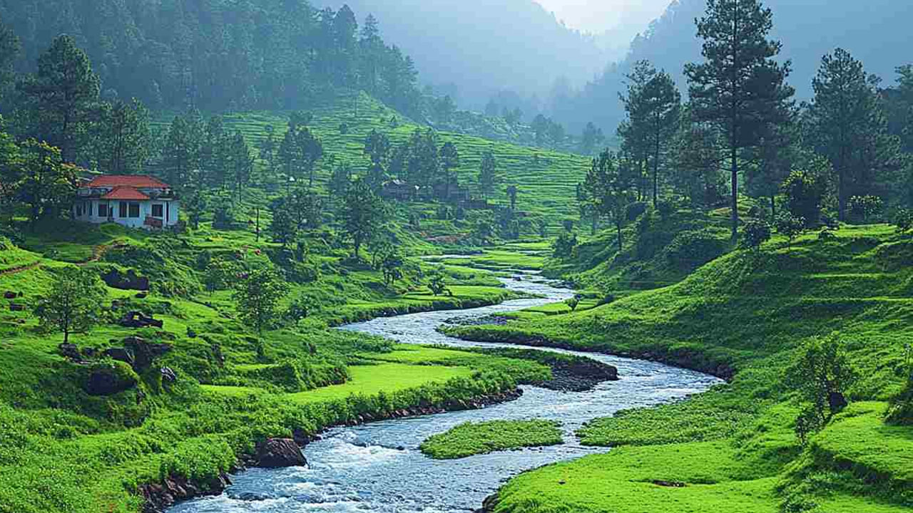 సౌత్ ఇండియాలో చాలా చల్లగా ఉండే ప్రదేశాలు కూడా ఉన్నాయి. అవి ఏవో ఇప్పుడు తెలుసుకుందాం. ముఖ్యంగా సమ్మర్ వేడి నుంచి ఉపశమనం పొంది ఎంజాయ్ చేయాలి అనుకునే వారికి తమిళనాడులోని ఊటీ బెస్ట్ ఆప్షన్ అంట.