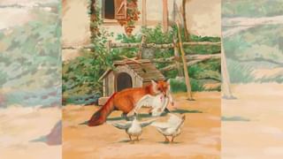 Viral Video: న్యూయార్క్ సిటీ ఇంత గలీజుగ ఉంటదా..? ఎక్కడ చూసినా ఎలుక పొక్కలు, మానవ వ్యర్థాలు