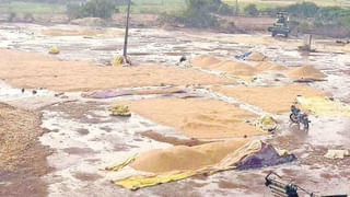 Heart Attacks: గుండెకు గండం.. ఈ చిట్టి హృదయానికి ఏమైంది…?