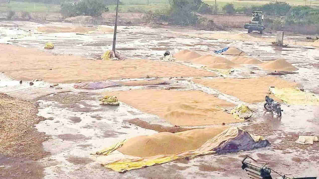 Untimely Rains: తెలుగు రాష్ట్రాల్లో అకాల వర్షం.. అపార నష్టం