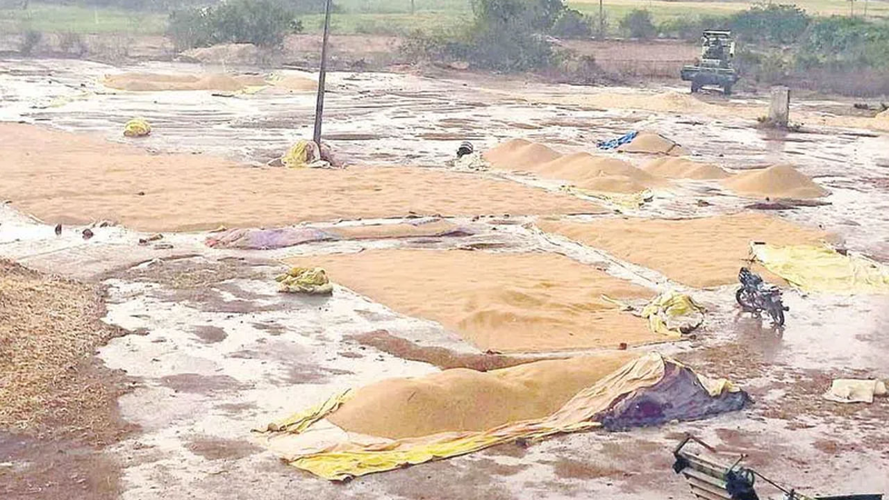 Untimely Rains: తెలుగు రాష్ట్రాల్లో అకాల వర్షం.. అపార నష్టం