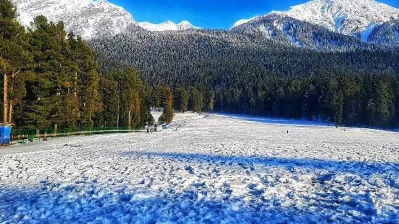 కోలహోయ్ హిమానీనదం:  పహల్గామ్ సమీపంలోని లిడ్డర్ లోయ పైన ఉన్న కోలాహోయ్ హిమానీనదం ఒక ప్రసిద్ధ ట్రెక్కింగ్ ప్రదేశం. ఇక్కడి దృశ్యాలు అద్భుతంగా ఉంటాయి. లిడ్డర్ నది ఇక్కడే ఉద్భవించింది. ప్రకృతి ప్రేమికులకు, సాహసయాత్రలు ఇష్టపడే వారికి ఈ ప్రదేశం చాలా బాగుంటుంది.