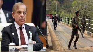 Brahma Kamalam: వైట్, పింక్ కలర్ లో వికసిస్తూ పర్యాటకులను ఆకర్షిస్తోన్న బ్రహ్మ కమలం పువ్వులు..