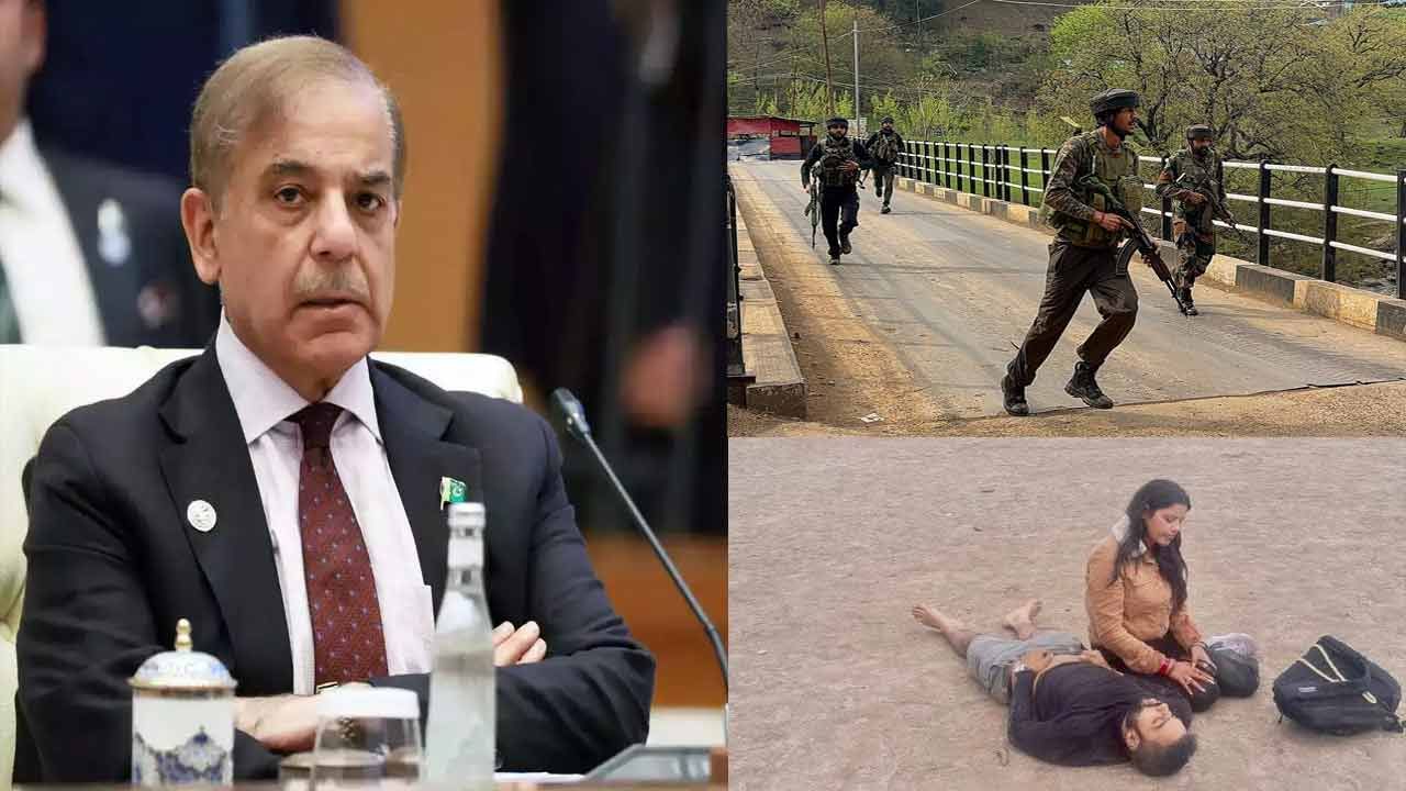 Pahalgam Terror Attack: ‘నిందలేస్తే సరికాదు.. ఆధారాలు చూపండి..’ పహల్గాం దాడిపై పాకిస్థాన్ రియాక్షన్‌ ఇదే!