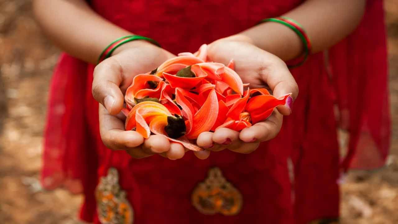 మోదుగ పువ్వులో విటమిన్ సి, కెరోటినాయిడ్లు, ఫ్లేవనాయిడ్ల లాంటి పోషకాలు ఉన్నాయి. ఇవి రోగనిరోధక శక్తిని పెంచుతాయి. రక్తాన్ని శుద్ధి చేయడానికి మోదుగ చెట్టు బెరడు బాగా ఉపయోగపడుతుంది. రక్తం శుద్ధి అయితే చర్మ సమస్యలు కూడా తగ్గుతాయని నిపుణులు సూచిస్తున్నారు.