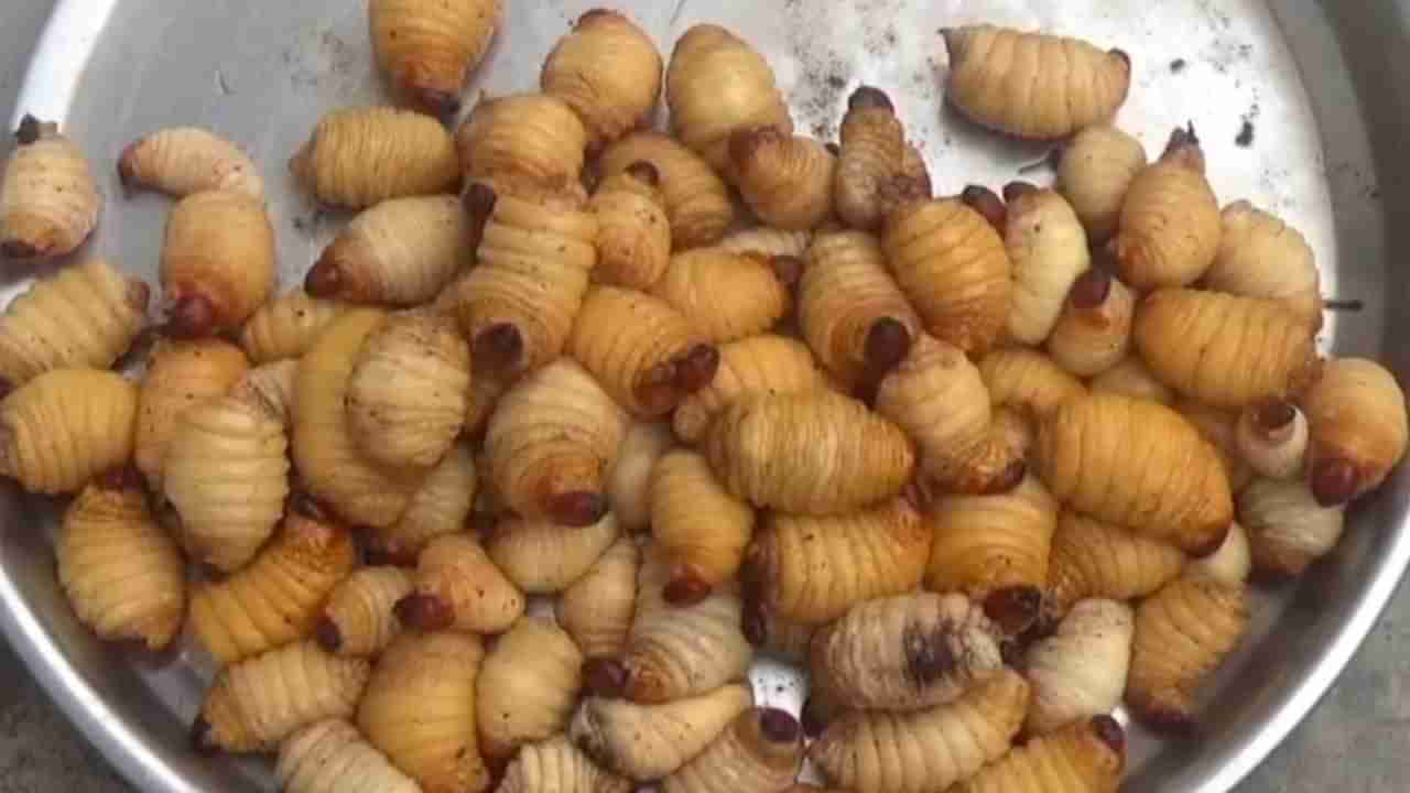 అదిరిందయ్యా.. అడవి రొయ్యల కూర..! వాటికోసం సాహసమే చేయాలి మరి..!