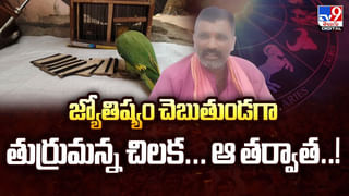 ప్రమాదంలో గాయపడిన కొండముచ్చు.. స్థానికులు ఏం చేశారంటే