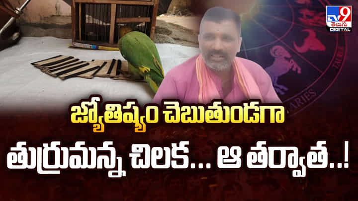 జ్యోతిష్యం చెబుతుండగా తుర్రుమన్న చిలక.. ఆ తర్వాత జ్యోతిష్యం చెబుతుండగా తుర్రుమన్న చిలక.. ఆ తర్వాత