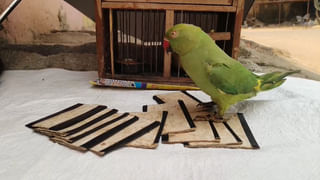 ‘నాలాగా రెండు వేల మంది రీపోస్టు చేశారు.. వాళ్లందరిపైనా చర్యలు ఉంటాయా..?: స్మితా సబర్వాల్