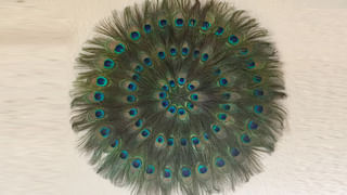 రేపే అక్షయ తృతీయ.. పూజ, షాపింగ్ కోసం శుభ సమయం.. చేయాల్సిన దానాలు ఏమిటంటే..