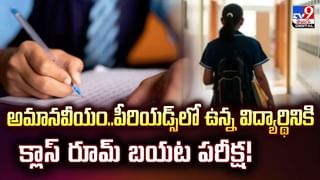 బురదలో సేదతీరుతున్న దున్నపోతు.. వీపుపై తట్టిలేపిన సింహం
