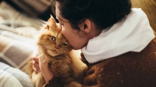 ఉదయం లేదా సాయంత్రం ఏ సమయంలో వ్యాయామం చేయడం ఉత్తమం.. ఎటువంటి ఫలితాలు వస్తాయో తెలుసా..