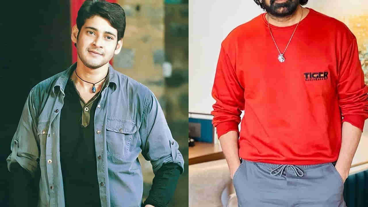 Pokiri Movie: అరెరే.. క్రేజీ ఛాన్స్ మిస్సయ్యావు కదన్నా.. పోకిరి సినిమాను ఆ హీరో కోసం రాసుకున్న పూరి.. చివరకు..
