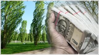 India’s Forex Reserves: పెరిగిన భారతదేశ ఫారెక్స్ నిల్వలు.. ఐదు నెలల్లో అతిపెద్ద పెరుగుదల: ఆర్‌బీఐ