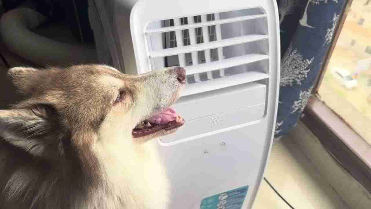 ఉక్కపోతకు చెక్‌ పెట్టే పోర్టబుల్‌ ఏసీ..ఇంట్లో ఎక్కడైనా సరే.. ఇది ఉంటే చలితో వణికిపోవాల్సిందే..! ధర కేవలం..