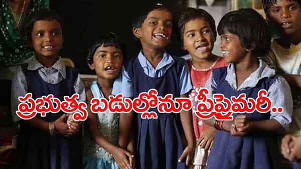 Pre Primary in Govt Schools: ఇక సర్కారు బడుల్లోనూ నర్సరీ, ఎల్కేజీ, యూకేజీ క్లాసులు.. ఉచిత రవాణా సౌకర్యం కూడా!