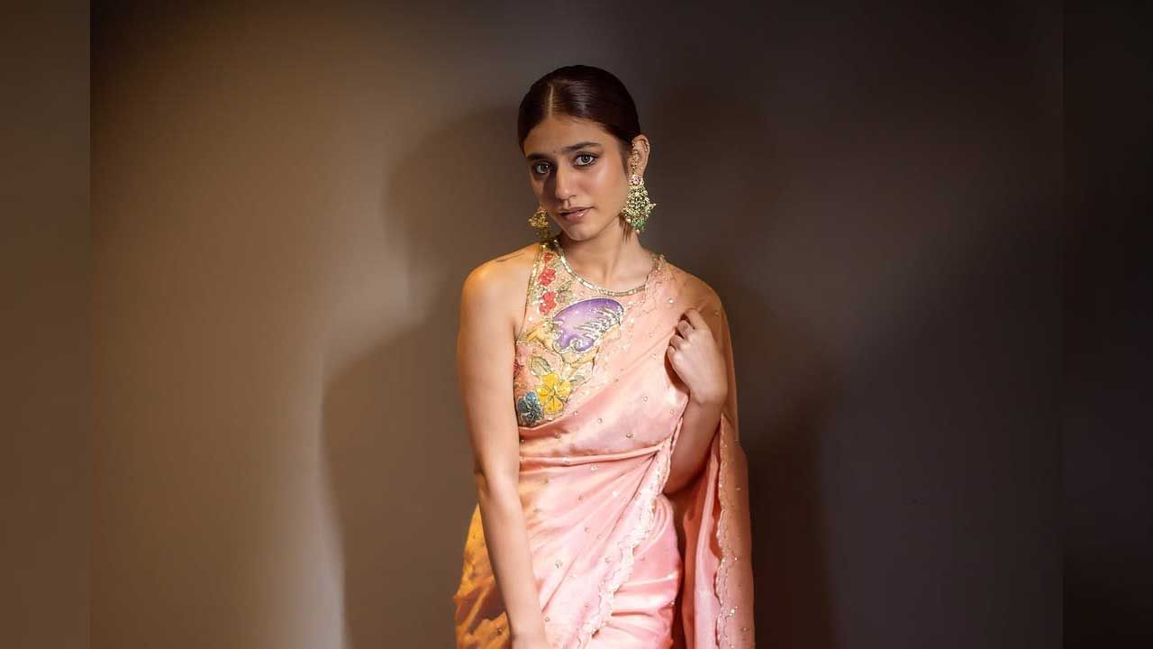 అలాగే పవన్ కళ్యాణ్, సాయి ధరమ్ తేజ్‌తో కలిసి బ్రూ సినిమాలో చేసింది. తెలుగులో పలు సినిమాలు చేసినప్పటికీ మంచి గుర్తింపు మాత్రం సొంతం చేసుకోలేకపోయింది ఈ చిన్నది