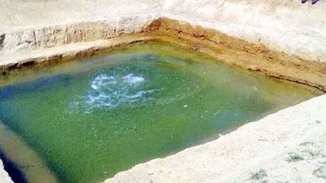 Andhra: ఎద్దులకు నీళ్లు తాగించేందుకు కుంట వద్దకు తీసుకెళ్లిన విద్యార్థులు.. అంతలోనే ఒక్కసారిగా