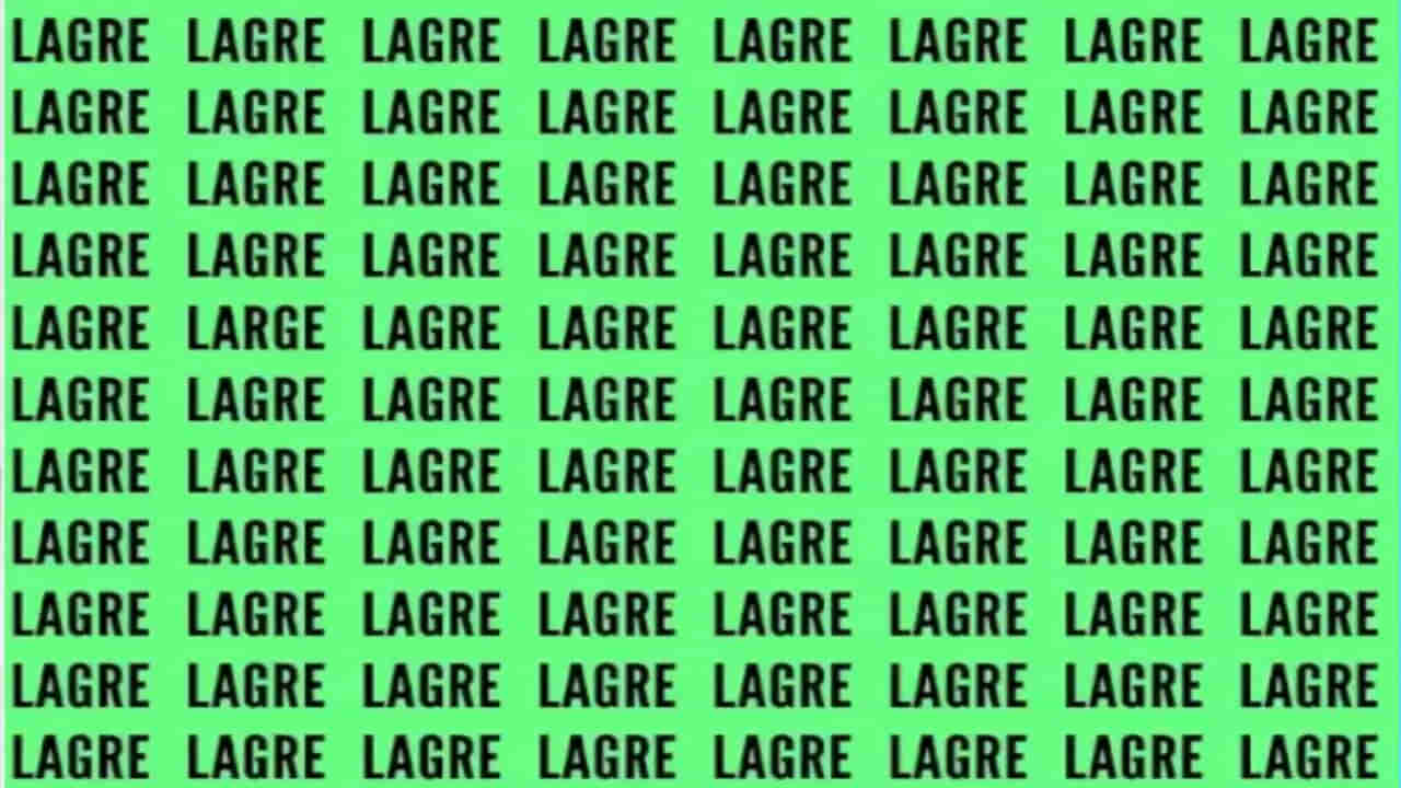 Puzzle: బుర్ర హీటెక్కాల్సిందే..  ఈ ఫొటోలో ‘LARGE’ పదాన్ని కనిపెట్టండి చూద్దాం..