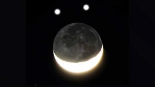 ఇది మీకు తెలుసా..? చీమలు కూడా విశ్రాంతి తీసుకుంటాయట.. ఎన్ని నిమిషాలంటే..!