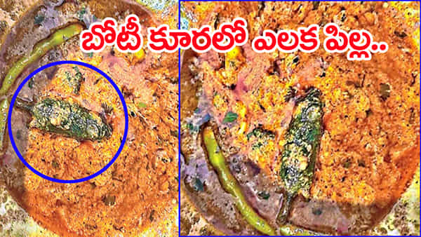 హోటల్ నుంచి తెచ్చిన బోటీ కూరతో భోజనం.. చివర్లో పార్శిల్ అడుగున కనిపించిన నల్లటి ఆకారం! ఏంటాని చూడగా..