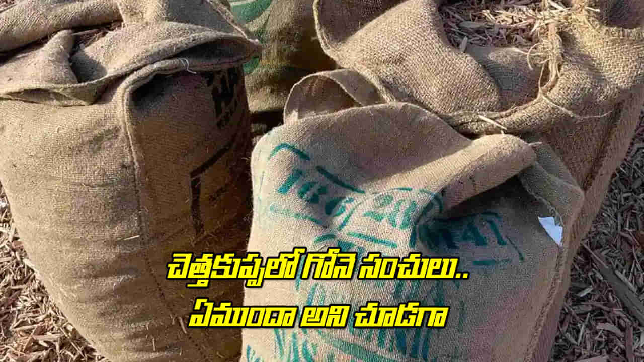 Viral: మహిళ వేషంలో చెత్తకుప్పలో గోనె సంచులు విసిరేసిన అజ్ఞాత వ్యక్తి.. ఏముందా అని చూడగా