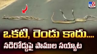 కనీ..వీనీ ఎరుగని వివాహం.. సహపంక్తి భోజనాలు కూడా వీడియో