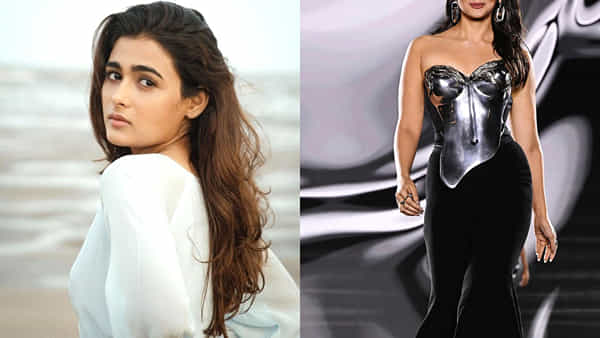 Shalini Pandey: ఆ స్టార్ హీరోయిన్తో పోలిక.. అస్సలు నచ్చట్లేదంటోన్న అర్జున్ రెడ్డి బ్యూటీ.. ఎందుకంటే..