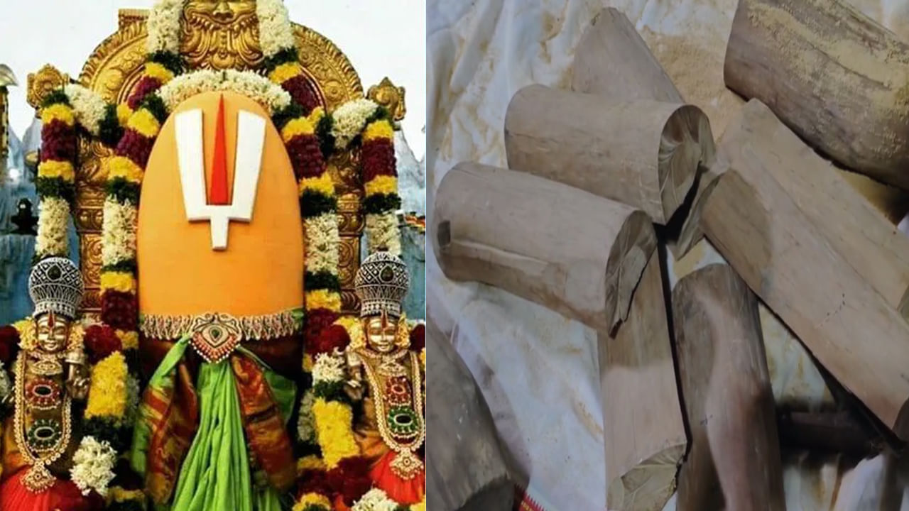 Chandanotsavam: సింహాచలం చందనోత్సవానికి ఏర్పాట్లు.. ఈనెల 24 నుంచి చందనం అరగదీత ప్రారంభం..