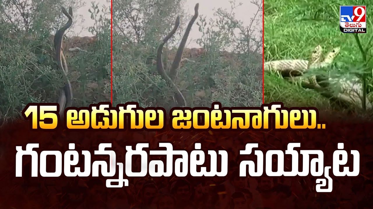 పొదల్లో వింత శబ్ధాలు.. ఏమిటా అని పరిశీలించిన స్థానికులకు షాక్‌
