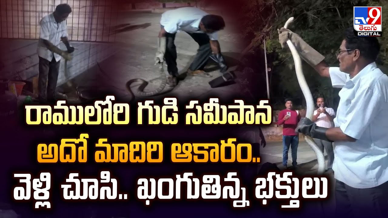 రాములోరి గుడి సమీపాన అదో మాదిరి ఆకారం.. వెళ్లి చూసి.. ఖంగుతిన్న భక్తులు