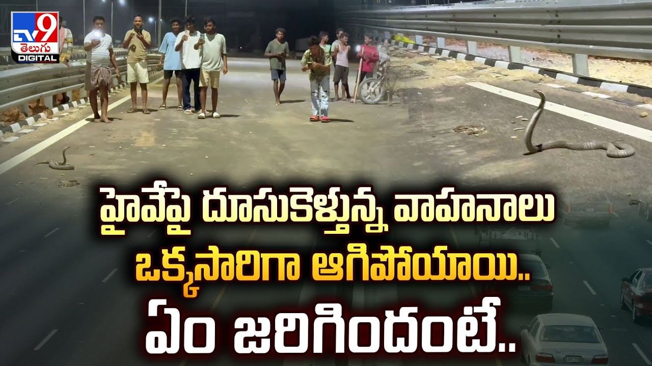 హైవేపై దూసుకెళ్తున్న వాహనాలు ఒక్కసారిగా ఆగిపోయాయి..ఏం జరిగిందంటే వీడియో