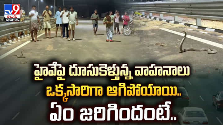 హైవేపై దూసుకెళ్తున్న వాహనాలు ఒక్కసారిగా ఆగిపోయాయి..ఏం జరిగిందంటే వీడియో హైవేపై దూసుకెళ్తున్న వాహనాలు ఒక్కసారిగా ఆగిపోయాయి..ఏం జరిగిందంటే వీడియో