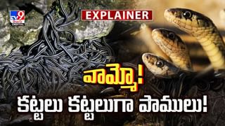 చంకలో పిల్లను పెట్టుకొని ఊరంతా వెతికిన తండ్రి.. ఏంటి మావా ఇది