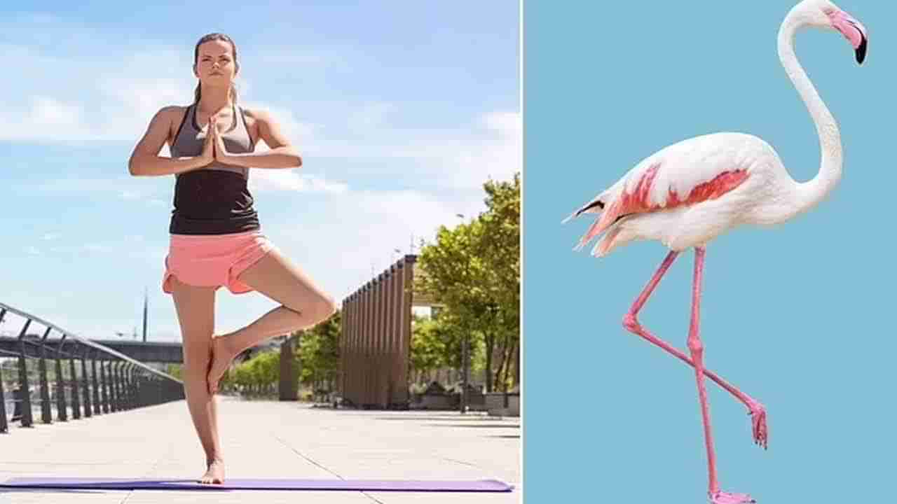 ఒంటి కాలిపై ఎంతసేపు నిలబడగలరో టెస్ట్ చేసుకోండి..? ఎన్ని లాభాలో తెలిస్తే ఎగిరి గంతేస్తారు..