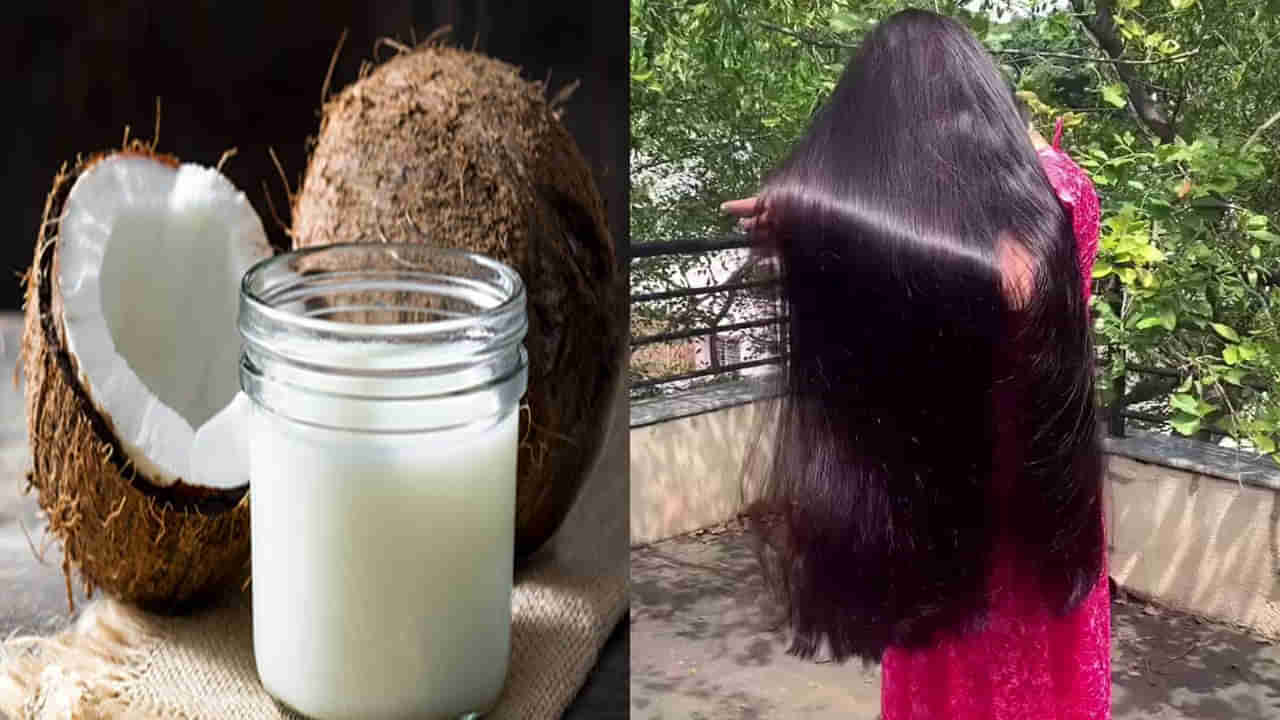 Summer Hair Care Tips: వేసవిలో జుట్టు సమస్యలకు కొబ్బరి క్రీమ్ ఓ వరం.. మెరిసే ఒత్తైన జుట్టుకోసం ఎలా ఉపయోగించాలంటే