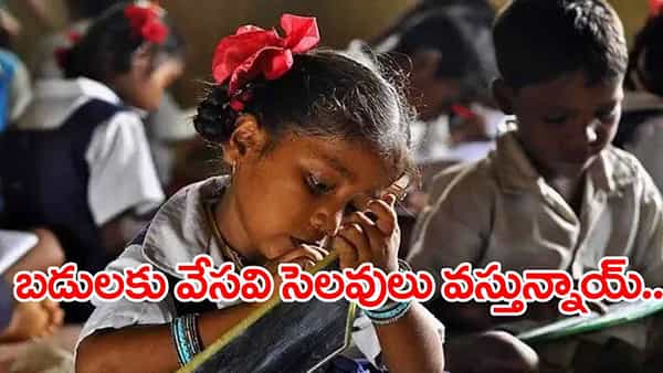 Summer Holidays 2025: ఏప్రిల్ 21లోగా బడి పిల్లలకు ప్రోగ్రెస్ కార్డులు.. వేసవి సెలవులు ఎప్పట్నుంచంటే?