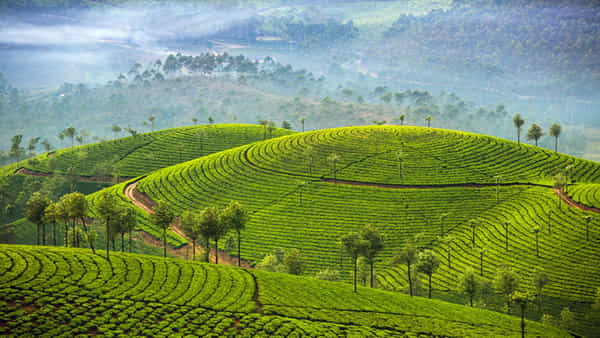 Tourism: మాడు పగిలే ఎండల నుంచి రిఫ్రెష్ కావాాలా.. మనదగ్గరే ఉన్న హిల్ స్టేషన్స్ ఇవి
