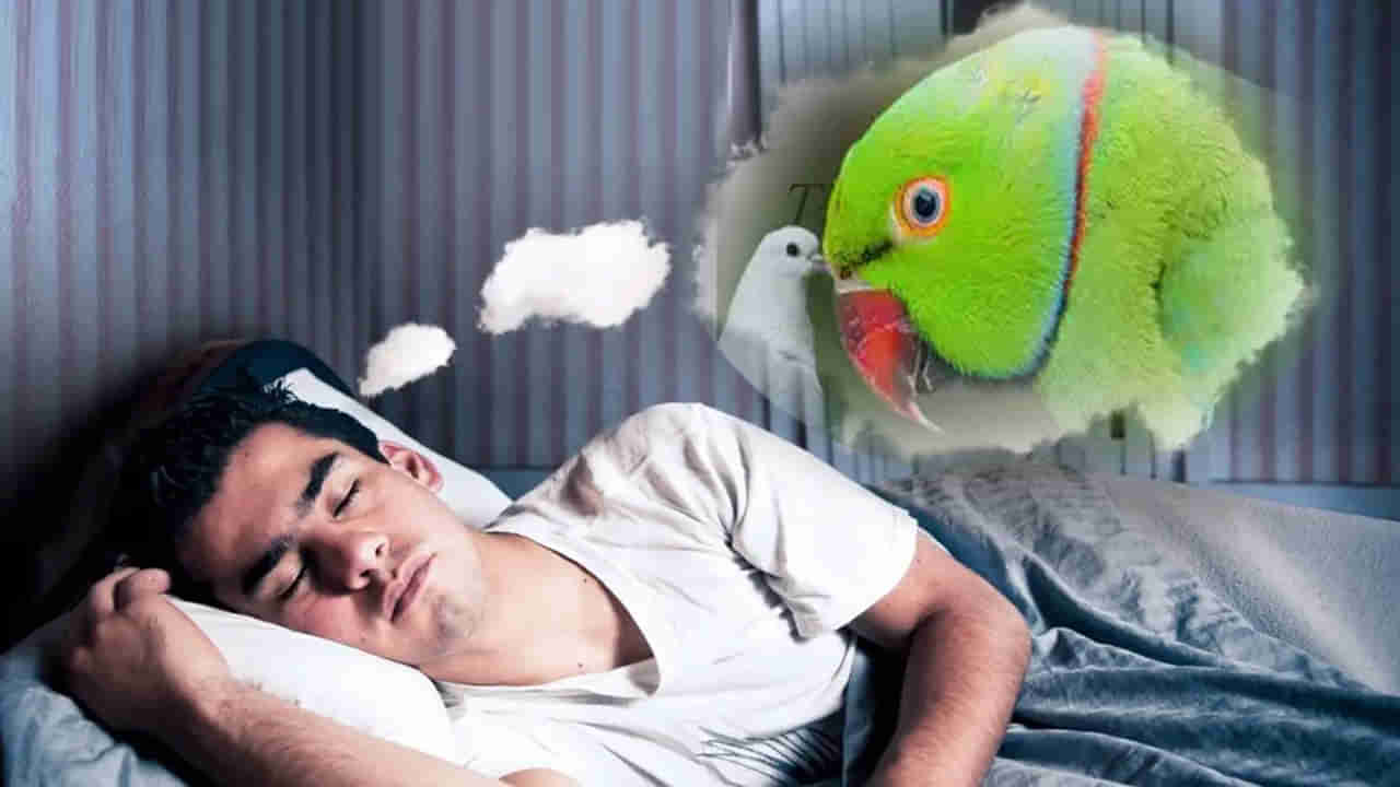 Swapna Shastra: కలలో ఈ మూడు పక్షులు కనిపిస్తే మీకు మంచి రోజులు వచ్చాయని అర్ధమట..