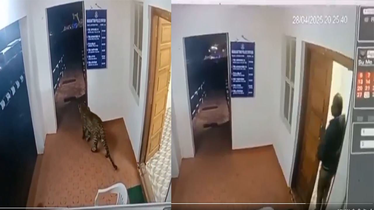 Tamil Nadu: దారితప్పి స్టేషన్‌లోకి వచ్చిన చిరుత పులి.. తెలివిగా పోలీస్ అధికారి ఏం చేశాడో చూడండి!