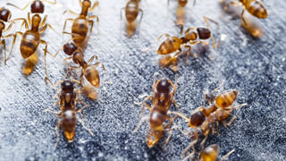 ఆకాశం నవ్వుతుందట..! ఏప్రిల్ 25న చూస్తే ‘స్మైలీ ఫేస్’ హాయ్‌ చెబుతుంది కూడా..