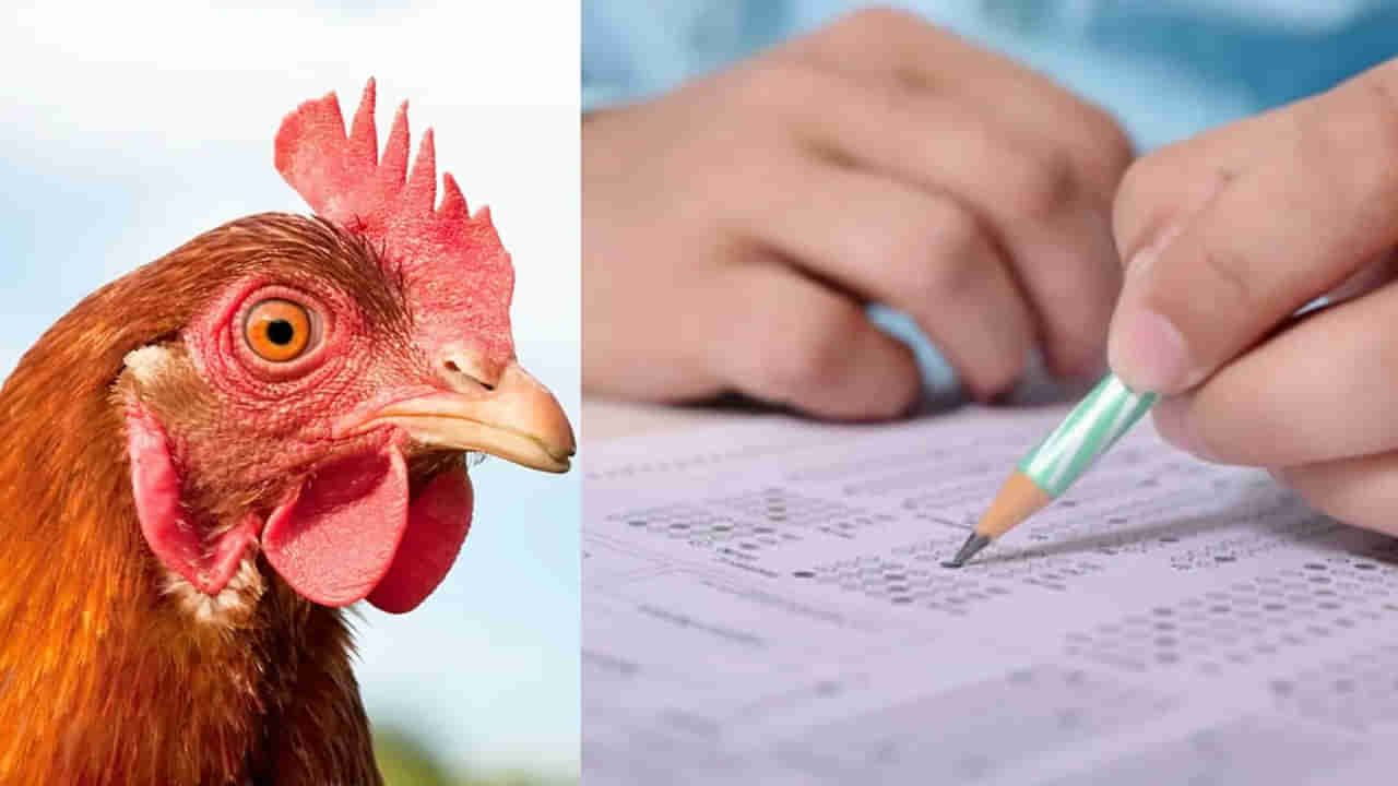 రాస్తున్న పరీక్ష మధ్యలో ఆపించి.. విద్యార్ధితో కోడి కోయించి ముక్కలు కొట్టించిన టీచర్!