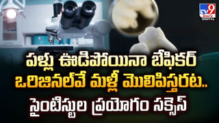 ఏఐ బాబాయ్ వచ్చేస్తున్నాడు.. మన కొలువులకు ఎసరేనా?