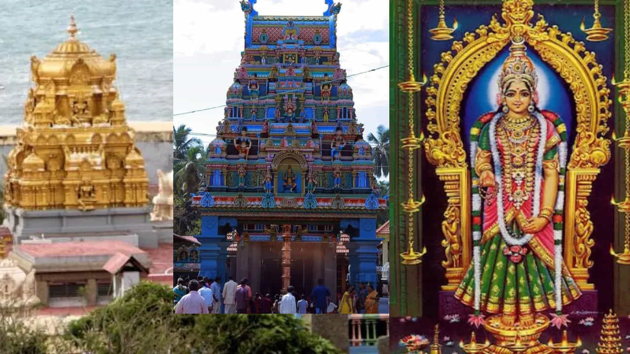 తమిళనాడులోని కుమారి అమ్మన్ ఆలయం: తమిళనాడులోని కన్యాకుమారి ఆలయం పార్వతి దేవి అవతారమైన కన్యాకుమారికి అంకితం చేయబడిన ఆలయం. పురుషులు, ముఖ్యంగా వివాహిత పురుషులకు దేవత విగ్రహం ఉన్న గర్భ గుడిలోపలికి అనుమతిలేదు. మహిళలు మాత్రమే అక్కడ దేవతను నేరుగా పూజించగలరు. ఆలయ సంప్రదాయాలు, నియమాల ప్రకారం సన్యాసులు ఆలయ ద్వారం వద్ద నుంచి మాత్రమే సందర్శించవచ్చని ..  వివాహిత పురుషులు దూరం నుండి ప్రార్థనలు చేయవచ్చని చెబుతారు.