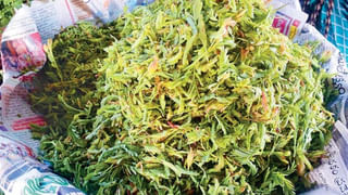 Operation Kagar: మావోయిస్టుల ఏరివేతే లక్ష్యంగా కర్రెగుట్టల్లో ఆపరేషన్‌ కగార్‌.. సీఎం రేవంత్ రెడ్డి, కేసీఆర్ కీలక వ్యాఖ్యలు..