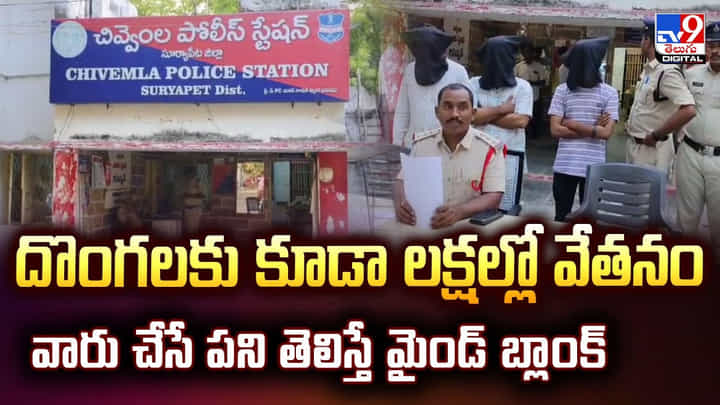 దొంగలకు కూడా లక్షల్లో వేతనం.. వారు చేసే పని తెలిస్తే మైండ్ బ్లాంక్ దొంగలకు కూడా లక్షల్లో వేతనం.. వారు చేసే పని తెలిస్తే మైండ్ బ్లాంక్