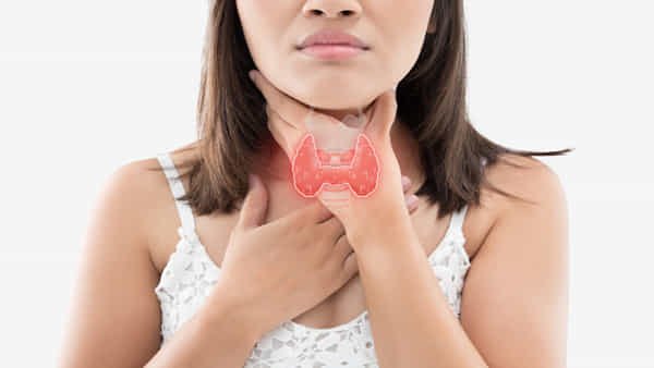 Thyroid Diet: థైరాయిడ్ బాధితులు తప్పక తీసుకోవల్సిన ఆహారాలు ఇవే..! తెలుసుకోండి..