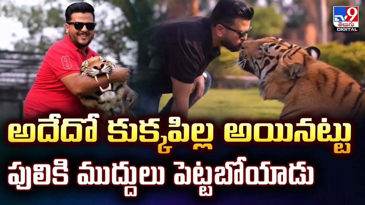ఏంటి మావా అదేమైనా పిల్లి అనుకున్నావా.. అలా ముద్దులు పెడుతున్నావ్
